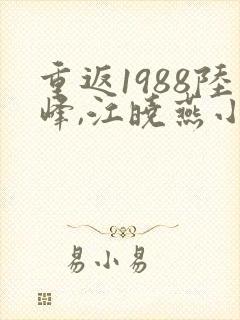 重返1988陆峰,江晓燕小说有声小说