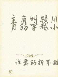 主角叫顾川苍舒月的穿越小说