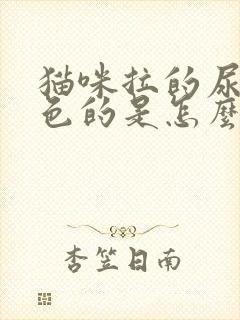 猫咪拉的尿是红色的是怎么回事