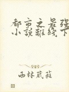 都市之最强狂兵小说离线下载