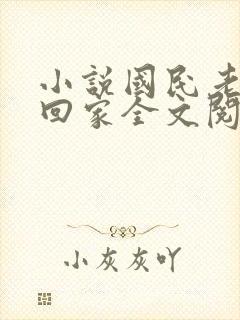 小说国民老公带回家全文阅读