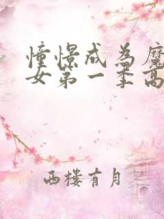 憧憬成为魔法少女第一季高清