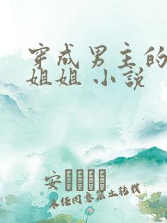 穿成男主的反派姐姐 小说