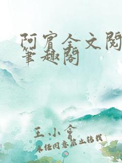 阿宾全文阅读—笔趣阁