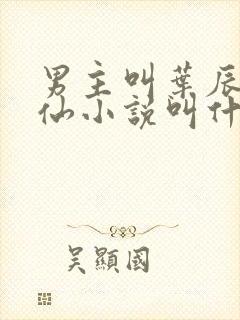 男主叫叶辰的修仙小说叫什么