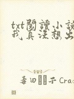 txt阅读小说我真没想出名啊