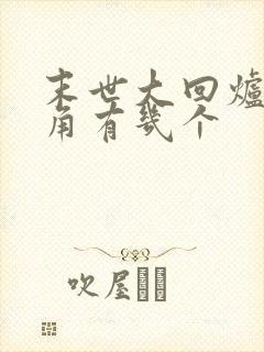 末世大回炉女主角有几个