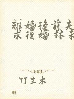 离婚后前夫哭着求复婚 林未央