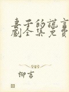 妻子的谎言电视剧全集免费晨光