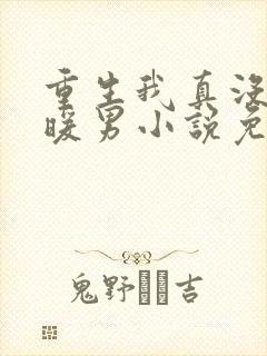 重生我真没想当暖男小说免费阅读