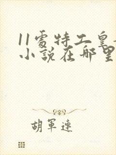 11处特工皇妃小说在哪里能看