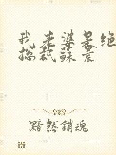 我老婆是绝色女总裁苏晨