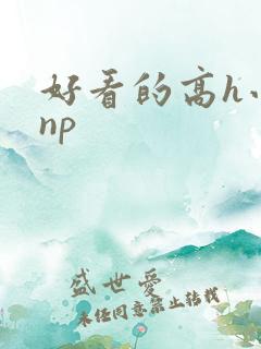 好看的高h小说np