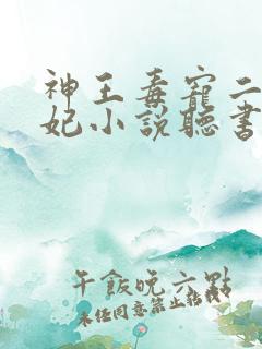 神王毒宠二嫁王妃小说听书