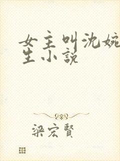 女主叫沈婉的重生小说