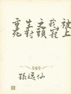 重生之我被渣男死对头宠上天