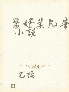 医婿叶凡唐若雪 小说