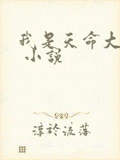 我是天命大反派 小说