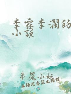 李霖李澜的官场小说