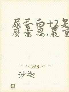 尿蛋白+2是什么意思,严重吗