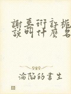 谢嘉珩许栀清小说叫什么名字