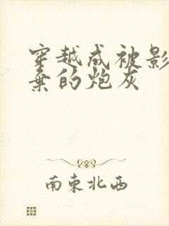 穿越成被影帝抛弃的炮灰