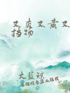 又爽又黄又无遮挡物