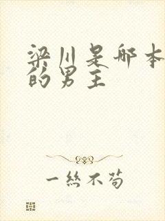 梁川是哪本小说的男主