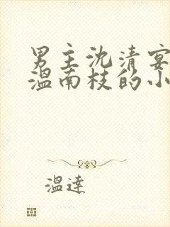 男主沈清宴女主温南枝的小说