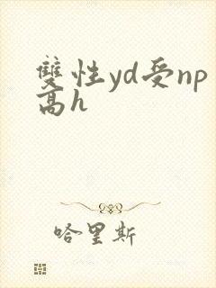 双性yd受np高h