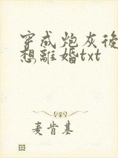 穿成炮灰后我只想离婚txt