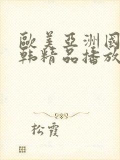 欧美亚洲国产日韩精品播放