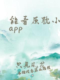 能看原耽小说的app