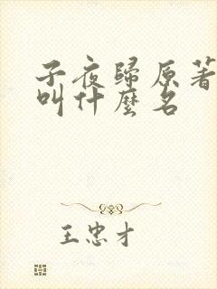 子夜归原著小说叫什么名