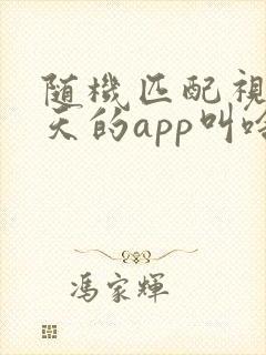 随机匹配视频聊天的app叫啥