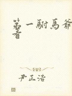 第一驸马爷在哪看