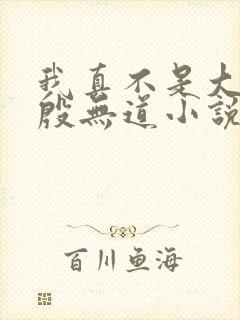 我真不是大反派殷无道小说在线阅读