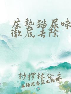 床垫猫尿味怎么彻底去除