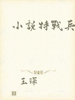 小说特战兵王