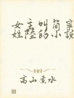 女主叫简宁男主姓陆的小说