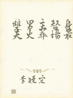 双男主替身文追夫火葬场最好看