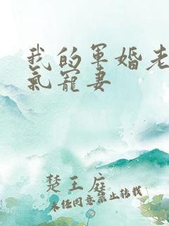 我的军婚老公霸气宠妻