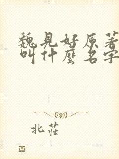 魏见好原著小说叫什么名字