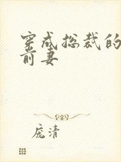 穿成总裁的炮灰前妻