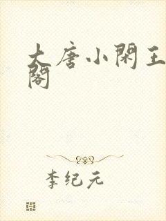 大唐小闲王笔趣阁