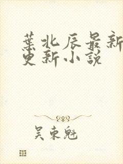 叶北辰最新章节更新小说