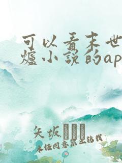 可以看末世大回炉小说的app