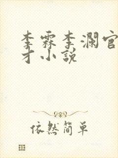 李霖李澜官场奇才小说