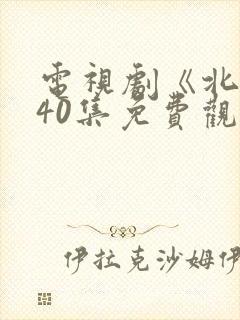 电视剧《北上》40集免费观看完整版