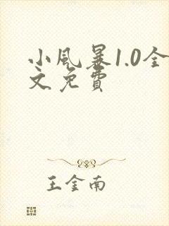 小风暴1.0全文免费